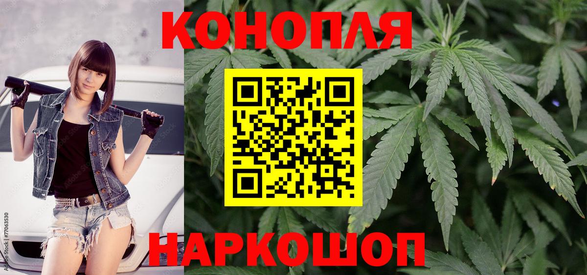 Конопля ГИДРОПОН Славянск-на-Кубани